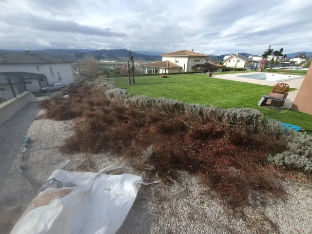 Eine Aussenaufnahme eines Gartens mit einem Haus im Hintergrund. Im Vordergrund befindet sich eine Fläche mit Kies und Pflanzenresten, während im Hintergrund ein gepflegter Rasen und ein Haus zu sehen sind