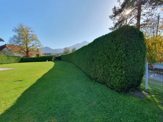 Eine lange, grüne Hecke schlängelt sich durch einen gepflegten Garten mit Rasen. Im Hintergrund sind Berge und ein blauer Himmel zu sehen.